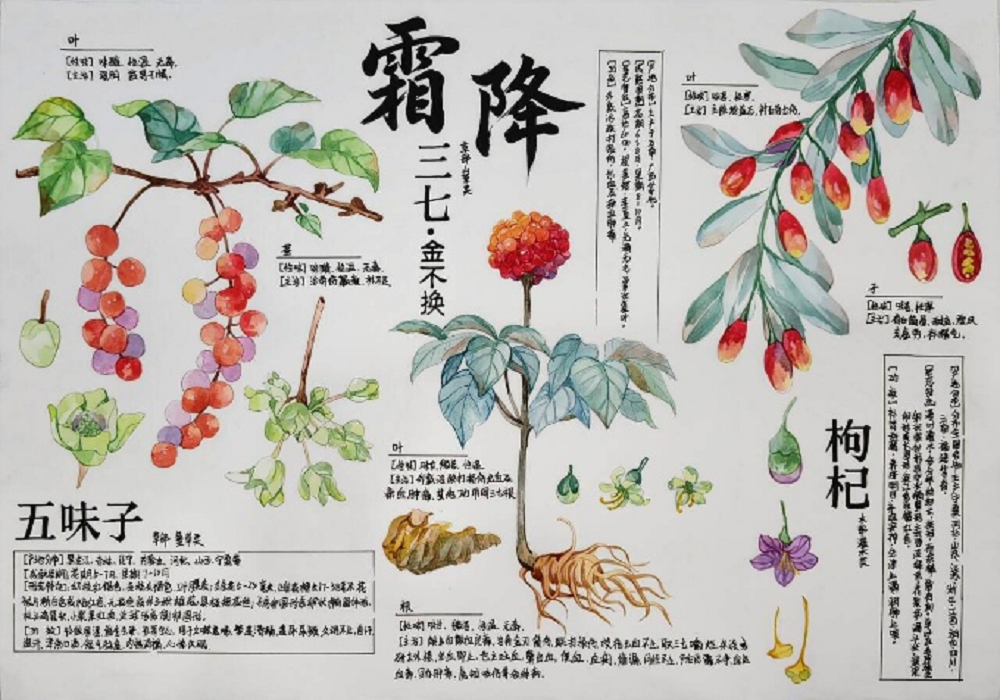一等奖作品