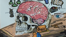 基础医学院“医学春秋”系列活动之“创绘解剖”主题绘画比赛圆满落幕