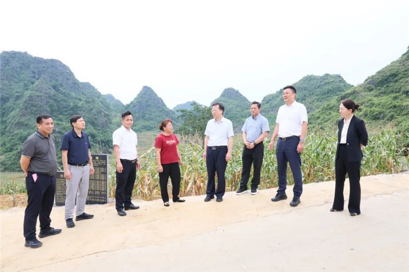学校及医院领导前往联伍村调研后盾单位出资援建的机耕路项目修建情况
