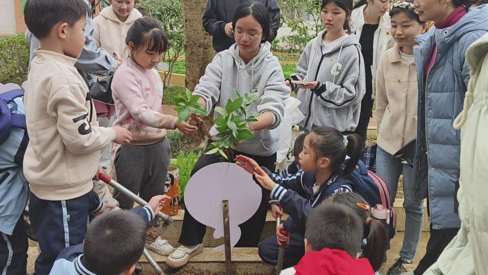 种植现场 种植现场